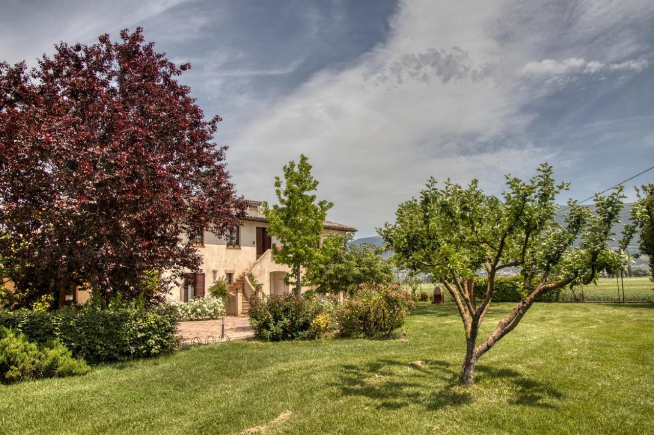 Agriturismo Il Barco Spello Exterior foto
