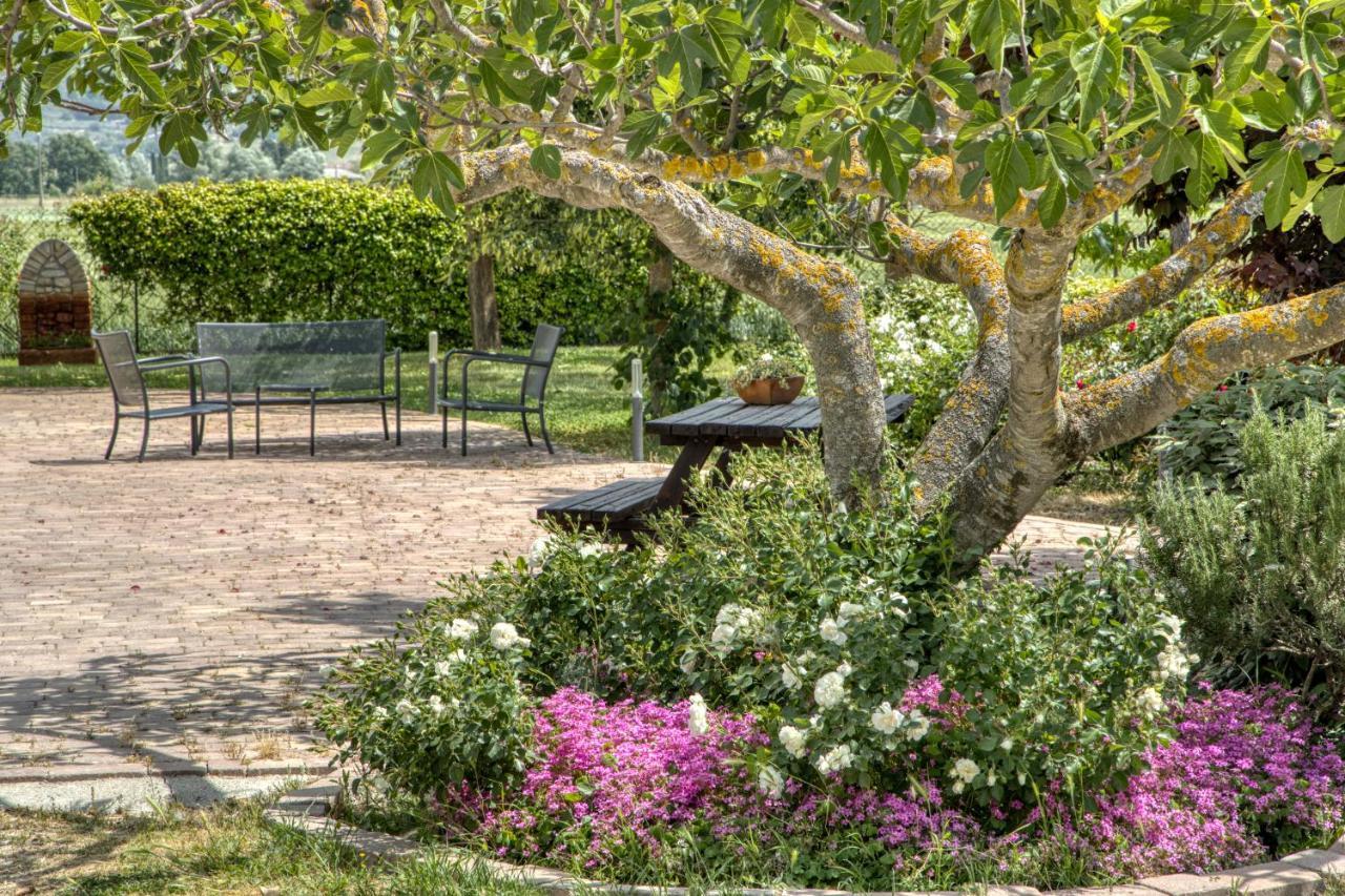 Agriturismo Il Barco Spello Exterior foto