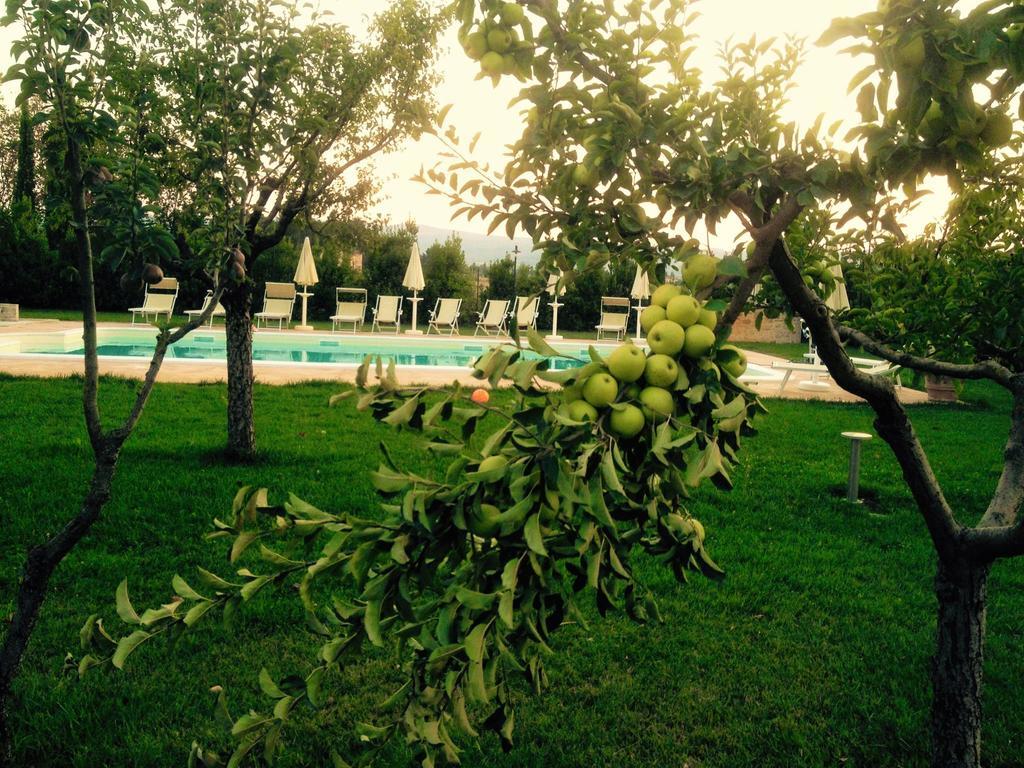 Agriturismo Il Barco Spello Exterior foto